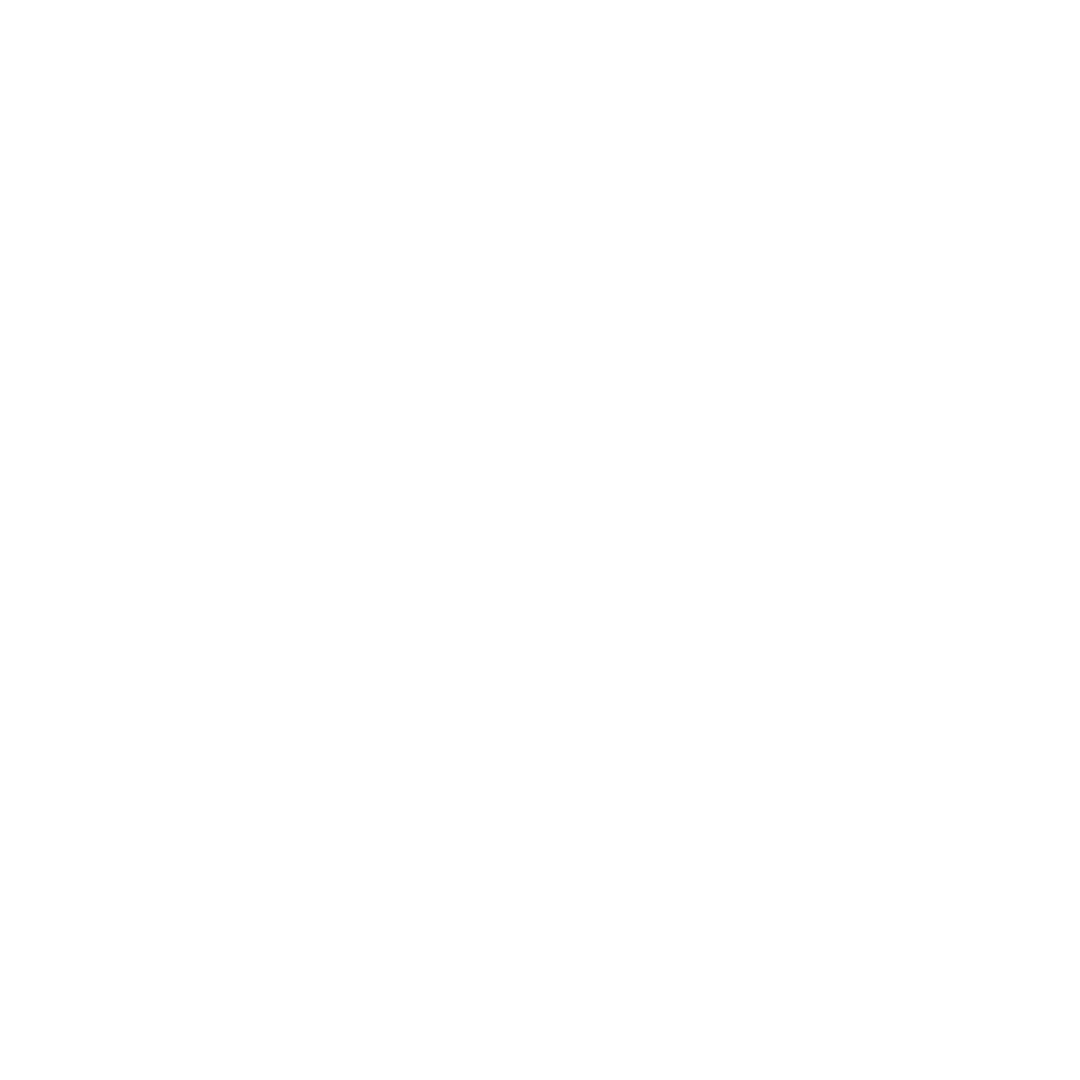 Implementation​ Services