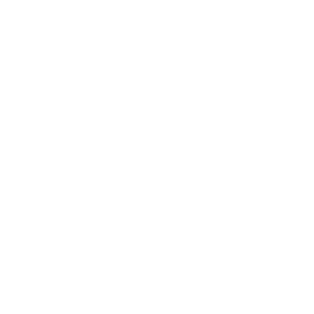 Professional Services​
