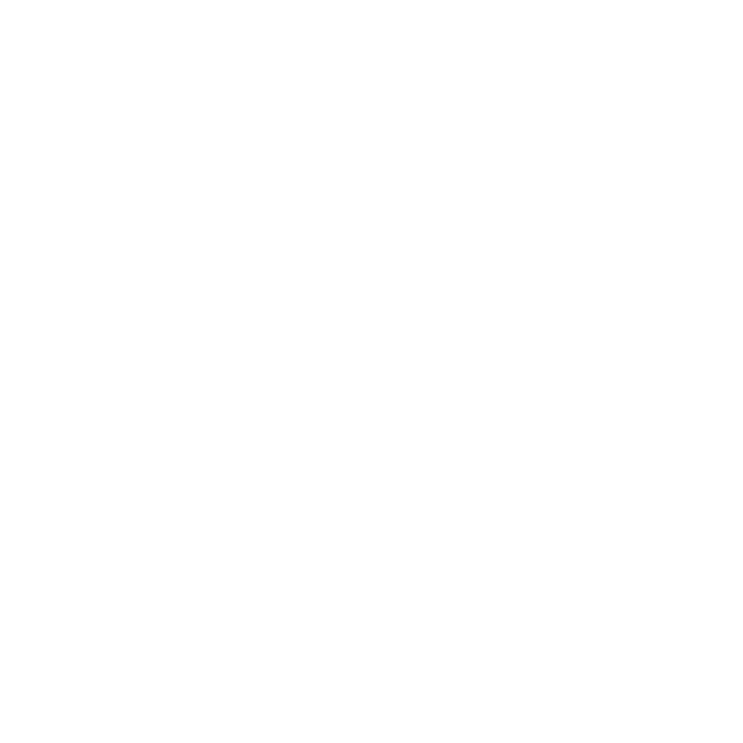 Value Realization Services